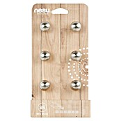 Nesu Pomo para muebles 17216 6 uds. (Ø x Al: 20 x 21 mm, Acero, Cepillado)