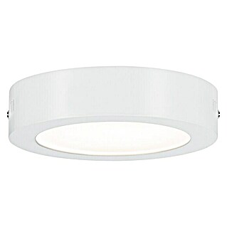 Paulmann Okrugla stropna LED svjetiljka (12,5 W, Ø x V: 17 x 3,8 cm, Bijele boje, Topla bijela)