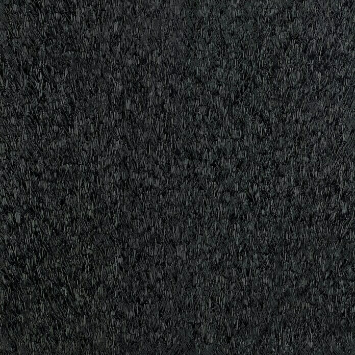 Classis Carpets  Infinity Grass Rasenteppich World of Colors (200 x 133 cm, Black Beauty, Ohne Noppen)