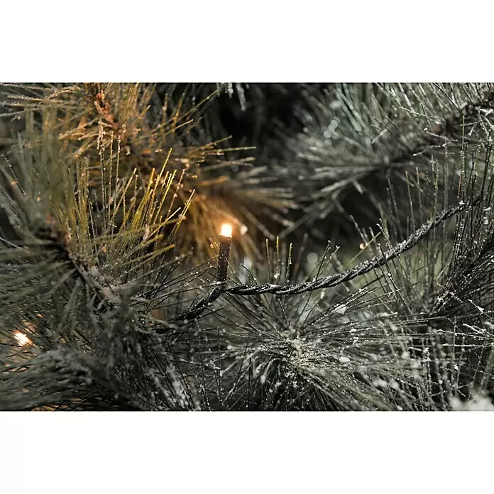 Konstsmide LED-Lichterkette Micro LED - Außen, Lichtfarbe: Bernstein, Anzahl Leuchtmittel: 120 Stk., Netzbetrieben - Detailaufnahme