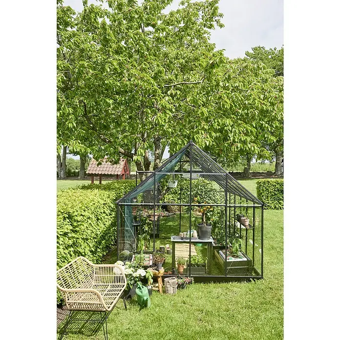 Halls Gewächshaus Qube 812 - Außenmaß inkl. Dachüberstand (B x T): 261 x 385 cm, 3 mm, Schwarz - Einladendes Gewächshaus im Garten mit Pflanzen und einem Stuhl. Perfekt für Hobbygärtner, die ihre Pflanzen liebevoll pflegen möchten.