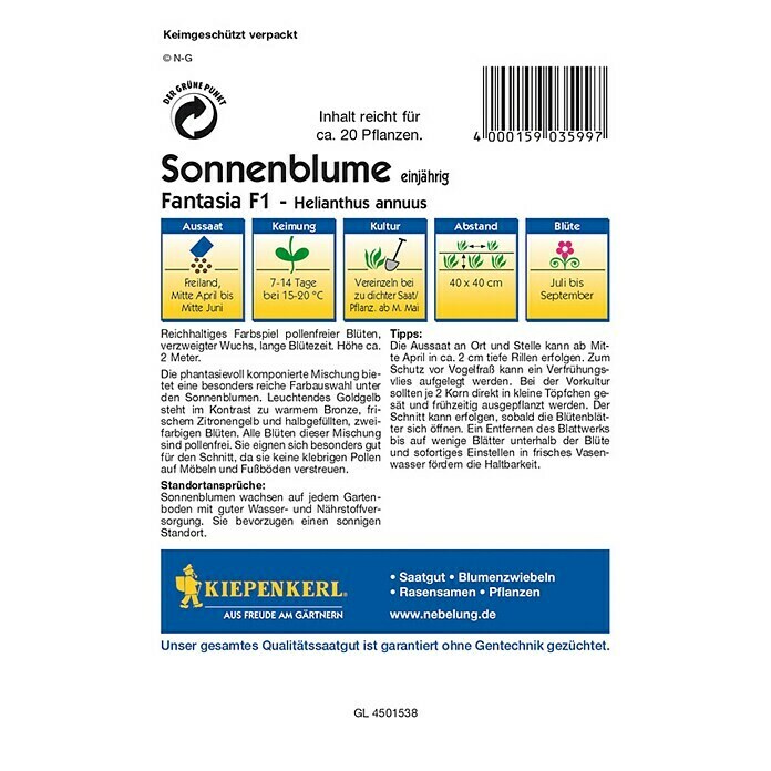 Kiepenkerl Profi-Line Sonnenblume Fantasia (Helianthus annuus, Inhalt ausreichend für ca.: 20 Pflanzen)