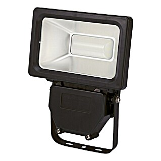 Profi Depot Proyector LED (30 W, L x An x Al: 193 x 122 x 51 mm, Negro, Blanco neutro)