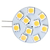 Talamex LED-Plättchen (1,7 W, 10 V - 30 V, Lichtfarbe: Warmweiß, A+)