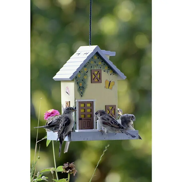 Dobar Vogelhaus Sommer - 18 x 18 x 23 cm - Ein charmantes Vogelhaus im Puppenhaus-Stil, umgeben von kleinen Spatzen, die sich darauf tummeln und eine idyllische Szene schaffen.