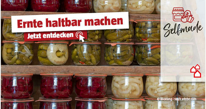 Ernte haltbar machen