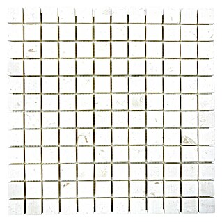 Mosaikfliese Quadrat Lymra XNT 59023 (30,5 x 30,5 cm, Beige/Weiß, Matt)