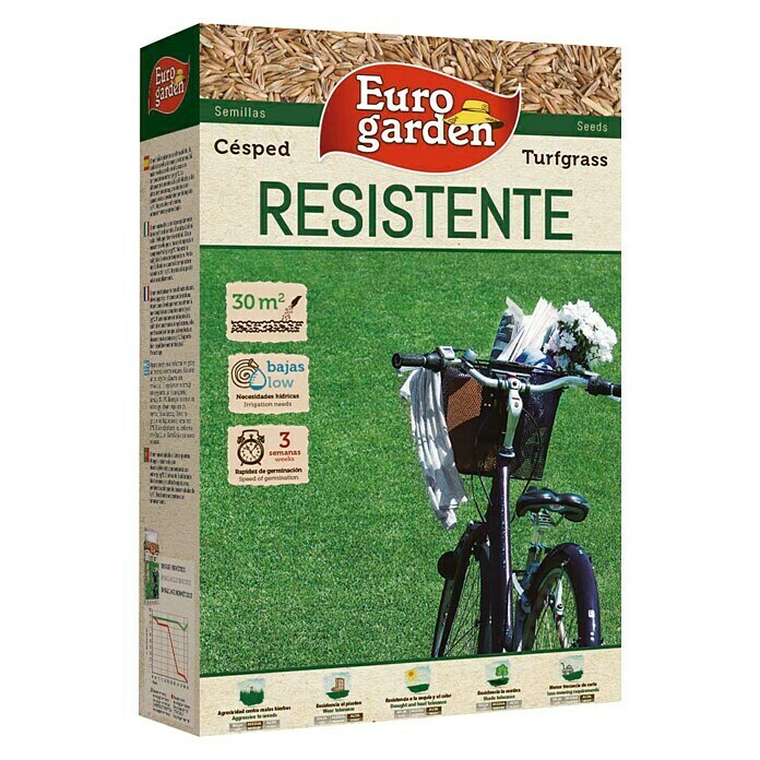 Semillas de césped resistente Euro garden (1 kg)