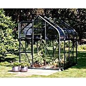 Vitavia Gewächshaus Orion 5000 (2,05 x 2,57 x 2,31 m, Glasstärke: 3 mm, Sicherheitsglas, Schwarz)