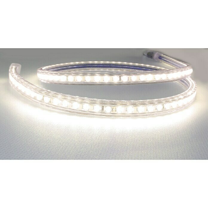 Alverlamp Tira LED a metros LT220 (12 W, Color de luz: Blanco cálido, Temperatura de color ajustable)