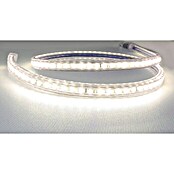 Alverlamp Tira LED a metros LT220 (12 W, Color de luz: Blanco cálido, Temperatura de color ajustable)