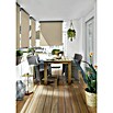 Sunfun Balkonverschattung (Beige, Breite: 1,4 m, Ausfall: 2,5 m)
