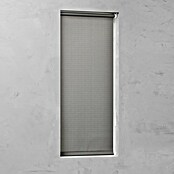 Expo Ambiente Rollo (B x H: 80 x 190 cm, Stahlgrau, Tageslichtdurchlässig)