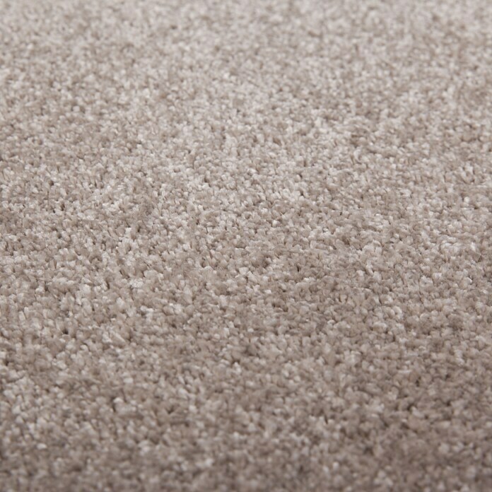 Kurzflorteppich SofttouchBeige, 230 x 160 cm, 100 % Polypropylen (Flor) Detail Shot