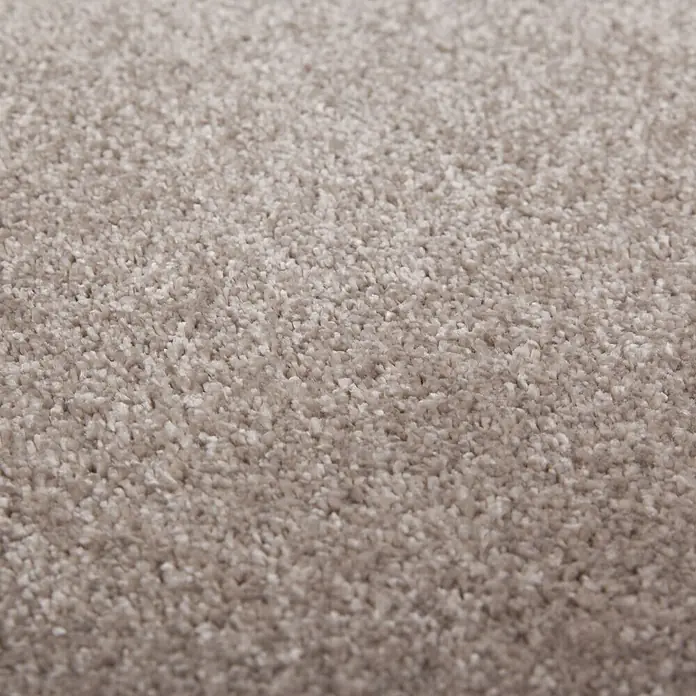 Kurzflorteppich Softtouch - Beige, 230 x 160 cm, 100 % Polypropylen (Flor) - Nahaufnahme eines weichen, hellbraunen Teppichs. Die Textur ist dicht und lädt zum Barfußlaufen ein. Ideal für Wohn- und Schlafzimmer.