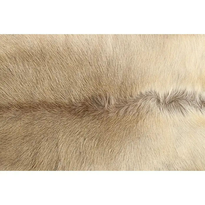 Esbeco RentierfellBraun/Weiß, 100 % Echtfell, 110 x 70 cm - Detailansicht eines Teppichs aus echtem Tierfell in hellen Beige- und Brauntönen, das eine weiche und natürliche Textur zeigt.