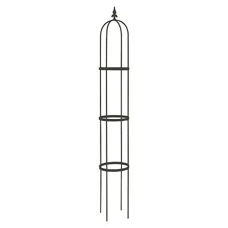Rankhilfe Obelisk Oscar