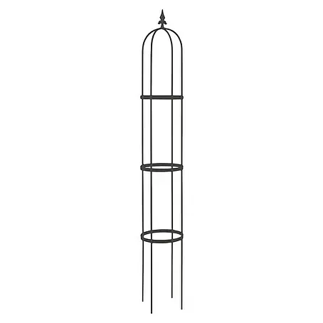 Rankhilfe Obelisk Oscar