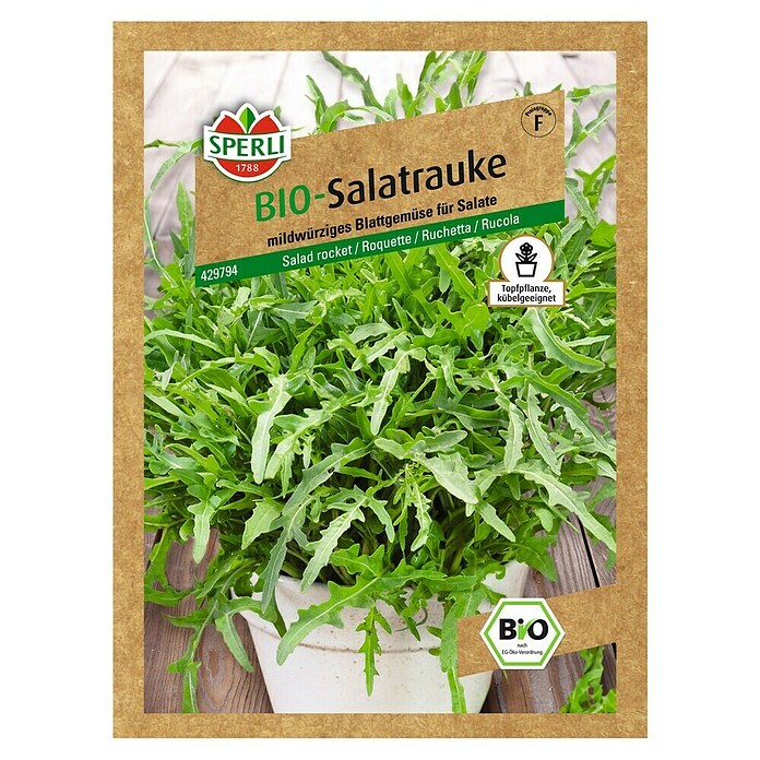 Sperli Sjeme salate Rukola  (Berba: Cjelogodišnje) | BAUHAUS