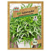 Sperli Sjeme salate Rukola  (Berba: Cjelogodišnje) | BAUHAUS