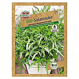 Sperli Salatsamen Bio Salatrauke (Eruca sativa, Erntezeit: Ganzjährig)