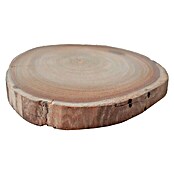 Disco de tronco de madera Mini (Castaña, Sin tratar, Diámetro: 8 cm - 12 cm)
