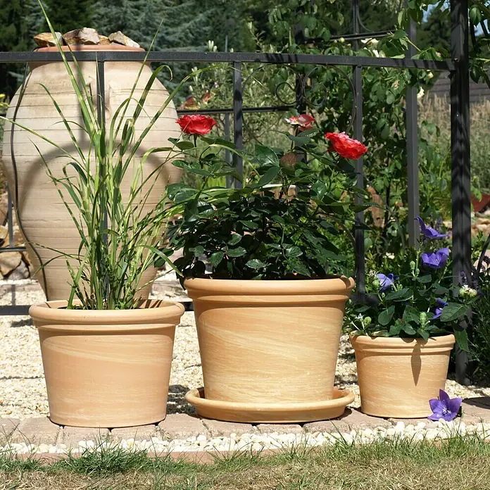 Pflanztopf - Max. Außendurchmesser: 28 cm, Höhe: 21 cm, Naturmaterialien, Terracotta - Drei Terrakotta-Blumentöpfe unterschiedlicher Größen stehen draußen und präsentieren üppiges Grün, rote Rosen und zarte lila Blüten.