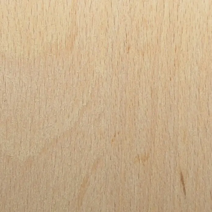 Sperrholzplatte nach Maß - Buche, L x B: 2.200 x 1.250 mm, Stärke: 8 mm - Nahaufnahme einer hellen Holzoberfläche mit feiner Maserung, ideal für Hintergründe und Texturen.
