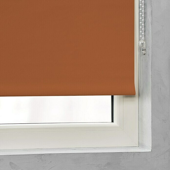 Expo Ambiente Rolgordijn (b x h: 80 x 190 cm, Terracotta, Verduistering)