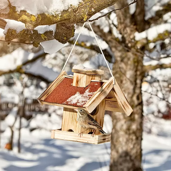 Windhager Vogelhaus Gaisberg - L x B x H: 23 x 26,5 x 24,5 cm, Natur, Geflammt, Holz - Hölzernes Vogelhaus mit braunem Dach hängt in verschneitem Baum, ein Vogel sitzt auf der Futterstelle.
