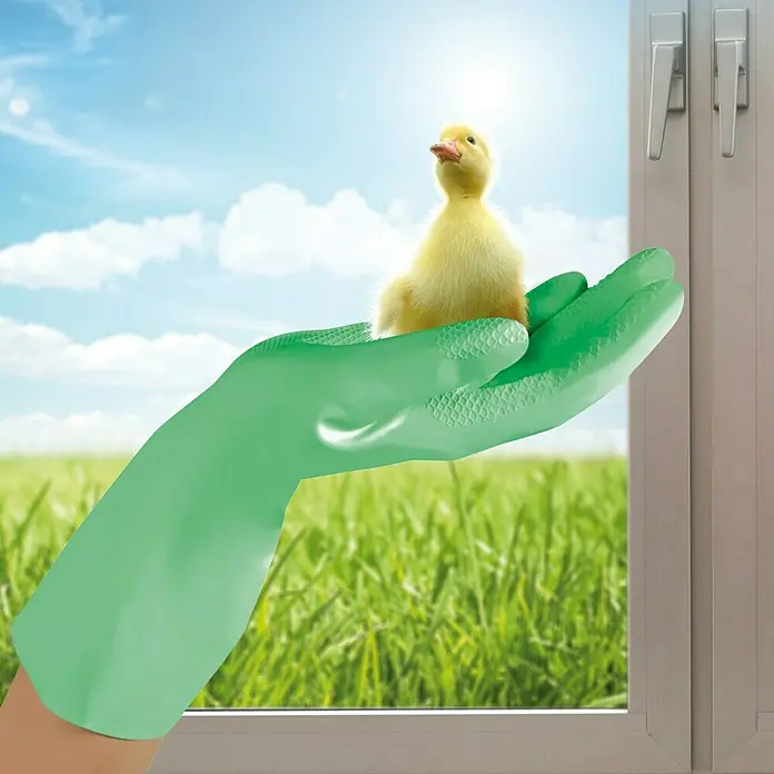Sänger Haushaltshandschuhe Sensitiv - XL, Türkisgrün, Nitril - Ein Küken sitzt auf einer grünen Gummihandschuhe, die für Reinigungsarbeiten oder Gartenarbeit verwendet wird, vor einem sonnigen Hintergrund.