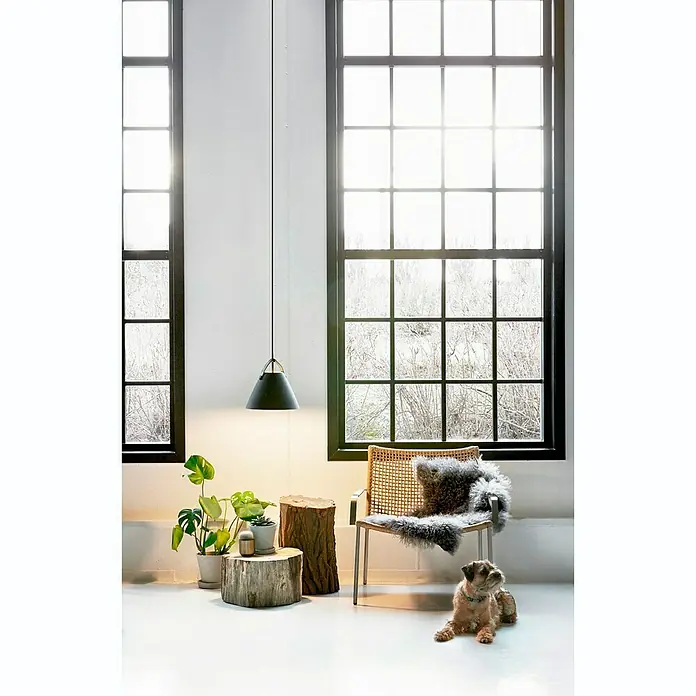 Nordlux Strap Lámpara colgante redonda - 60 W, Ø x Al: 27 x 27 cm, Negro, E27 - Lámpara colgante sobre plantas y una silla. El diseño escandinavo de la lámpara complementa los elementos naturales de la habitación.
