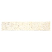 Sockelfliese Seabed SO 48470 (7 x 40,6 cm, Beige, Matt)