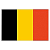 Bandera Bélgica (70 x 110 cm)
