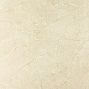Feinsteinzeugfliese Premium Marble (80 x 80 cm, Beige, Poliert)