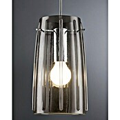 Paulmann URail 2Easy Pantalla de lámpara Drio (Diámetro: 15,2 cm, Transparente, Vidrio, Redondeada)