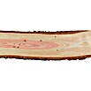 Exclusivholz Blockware (Douglasie, Anfallende Breite: 30 - 35 cm, 120 x 3 cm)