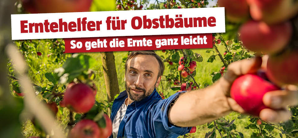 Erntehelfer