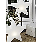 8 Seasons Design Shining LED-Weihnachtsstern Star (1 W, Weiß, Durchmesser: 30 cm)