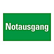 Pickup Fluchtwegschild (Motiv: Notausgang, L x B: 33 x 20 cm)