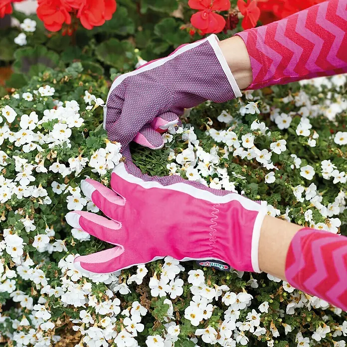 Gardol Gartenhandschuhe Pflege - 9, Pink - Nahaufnahme von Gartenhandschuhen in Pink und Lila, die zum Jäten von Unkraut zwischen weißen Blüten verwendet werden.