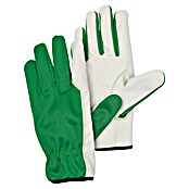 Gardol Gartenhandschuhe Pflege (Konfektionsgröße: 7, Grün)