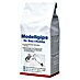 Modellgips 