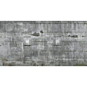 Rasch Fototapete Betonoptik (300 x 558 cm)