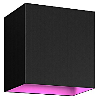 Philips Hue LED-Außenwandleuchte White & Color Ambiance Resonate Downward (8 W, 9,5 x 12 x 12 cm, Schwarz, IP44)
