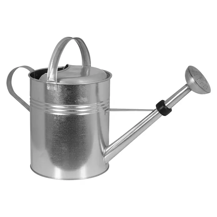 Gießkanne - Metall, 6,5 l - Eine silberne Gießkanne mit einem Ausgießer und zwei Griffen, perfekt für die Gartenarbeit.