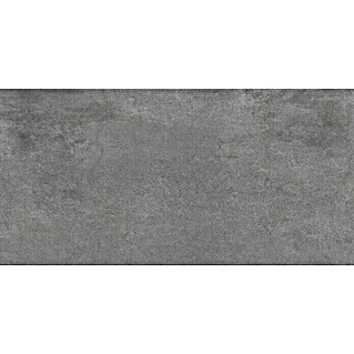Feinsteinzeugfliese Metallbeton (30 x 60,4 cm, Hellgrau, Matt)