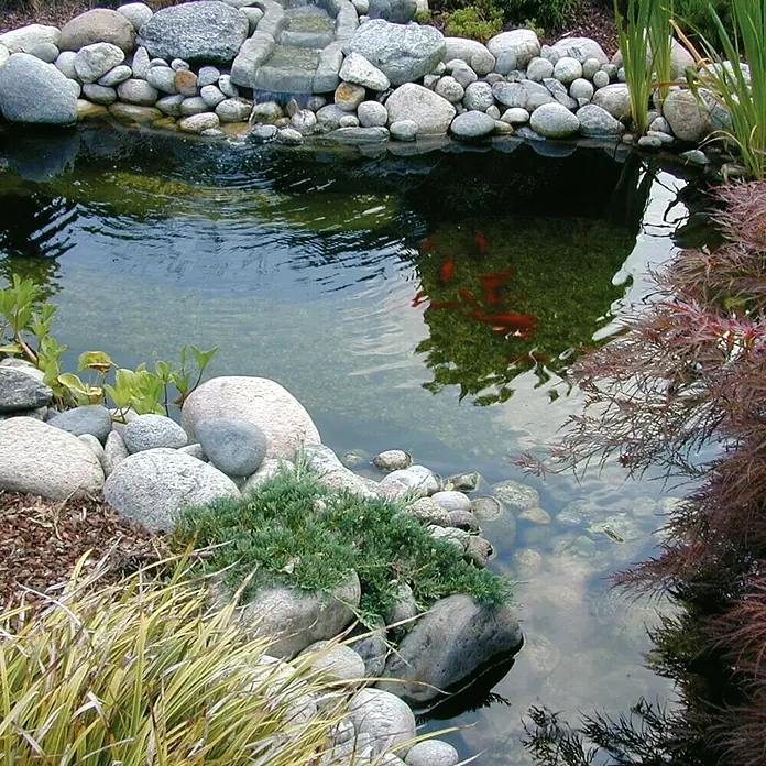 Ubbink Teichschale Start 1000 - Fassungsvermögen: 1.000 l - Nahaufnahme eines Gartenteichs mit Steinen, Pflanzen und dem Spiegelbild von Goldfischen im klaren Wasser. Schöne Gartenteichdekoration mit Steinen.