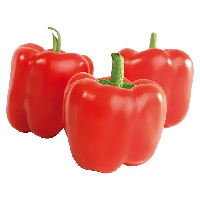 Blu Bio Paprika Midired - Capsicum anuum 'Midired', 12 cm