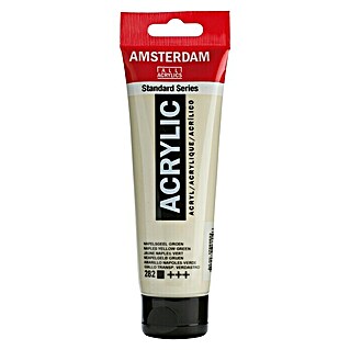 Talens Amsterdam Pintura acrílica Standard (Amarillo Nápoles verde, 120 ml, Tubo)